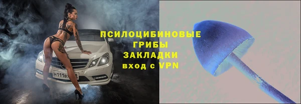 ПСИЛОЦИБИНОВЫЕ ГРИБЫ Горняк