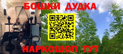 СК Гусев