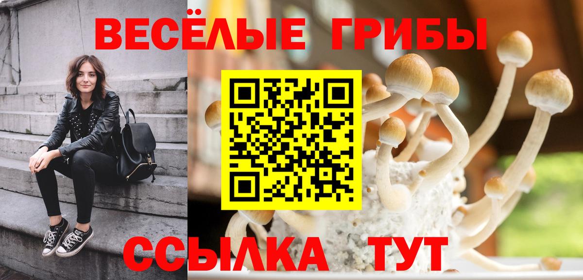 Кудрово  Псилоцибиновые грибы Cubensis  Вход с VPN  где купить   Псилоцибиновые грибы прущие грибы 