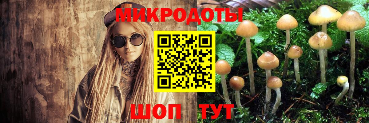 Галлюциногенные грибы GOLDEN TEACHER Кудрово