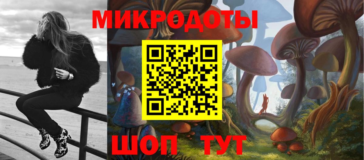 Псилоцибиновые грибы мицелий  что такое наркотик  Галлюциногенные грибы Psilocybine cubensis  Кудрово 