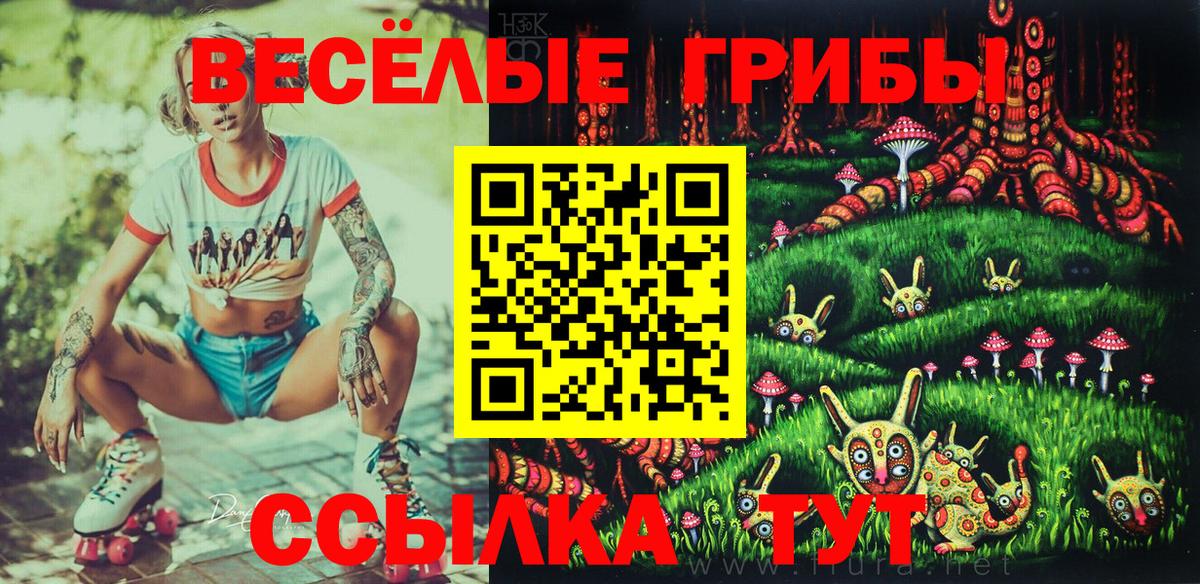 Галлюциногенные грибы Cubensis Кудрово