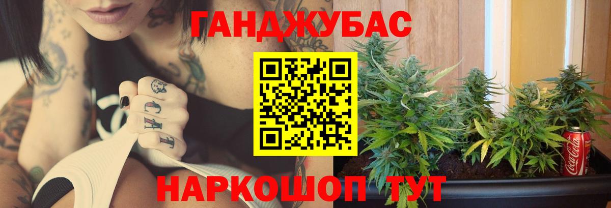 Шишки марихуана гибрид  МАРИХУАНА White Widow  Вход с VPN  Марихуана Amnesia  Кудрово  Шишки марихуана ГИДРОПОН 